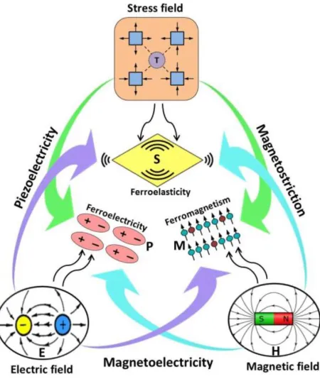 Figure 2.3 Schematic illustration of strain mediated ME coupling [3]. 