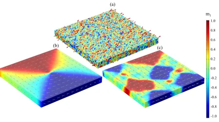 Figure 4.3 (a) Random initial condition for the magnetization unit vector and equilibrium spontaneous domain structure for unstrained randomly-textured (b) NFO, and (c) CFO films