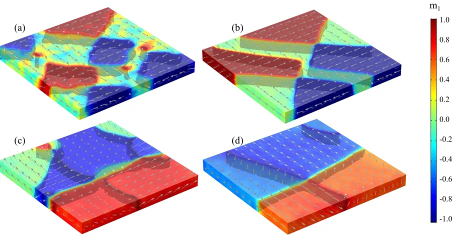 Figure 4.5 Spontaneous domain structure of unstrained CFO films with (a) randomly-oriented, (b) (100)-textured, (c) (111)-textured, and (d) (11̅0)-textured microstructure