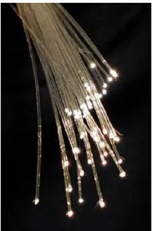 Figure 2.2: Optical Fibers
