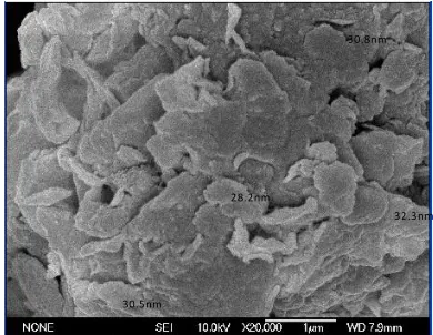 Fig. 1b. FESEM Image of OCT Treated Clay