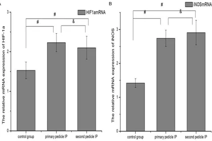Figure 7. Real time qRT-PCR was used to examine the gene expression of iNOS and HIF-1α