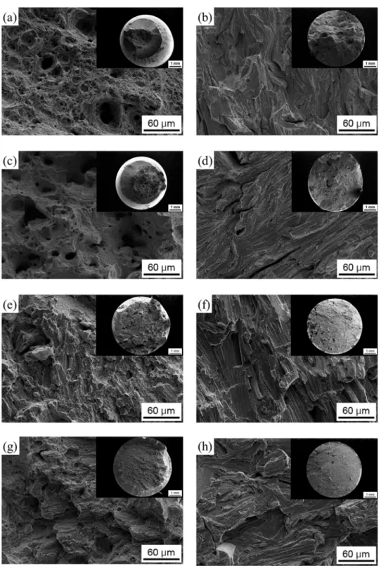 Figure 6. Fracture surfaces of (a,b) AB, (c,d) ST, (e,f) AB-aged, and (g,h) ST-aged samples; (a,c,e,g)  before H-charging and (b,d,f,h) after H-charging