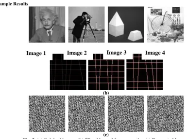 Fig. 5  (a) Original images (b) 2D grids used for encryption (c) Encrypted images  (c)  