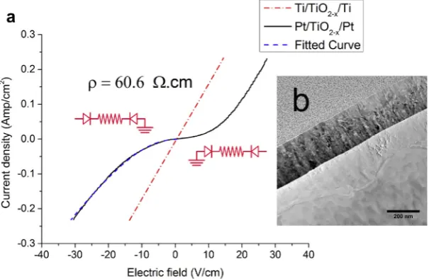 Fig. 2. (a) The conductivity of TiOPt-deposited electrodes (Pt/TiO2 single crystal, annealed at 1100 �C for 36 h and 10�4 pO2, with ohmic contacts (Ti/TiO2–x/Ti), is compared to the2–x/Pt), with Schottky barriers formed at the interfaces