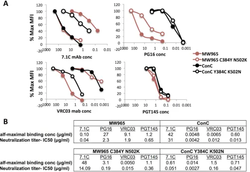 FIG 10 Effects of positions 384 and 502 on antibody binding to cell surface Env complexes