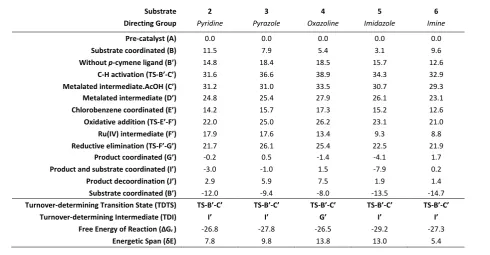 Table 2. Energies of key intermediates and transition states in the ruthenium-catalysed C-H arylation reactions of 2 – 6 using PhCl.a