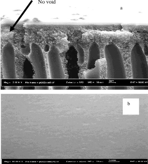Fig. 5. SEM picture of asymmetric coated polyimide-zeolite mixed matrix membrane at the: (a) cross section and (b) outer surface image layer 