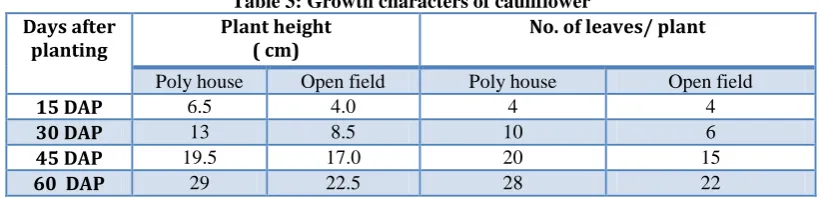 Table 3: Growth characters of cauliflower 
