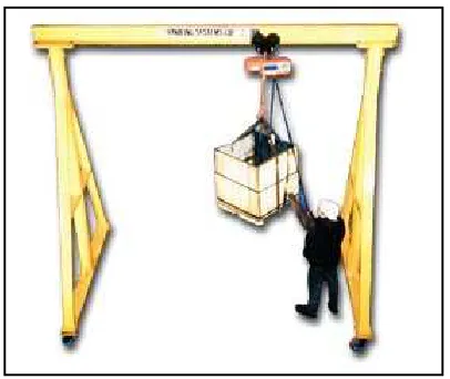 Figure 1.1 The Gantry Crane 