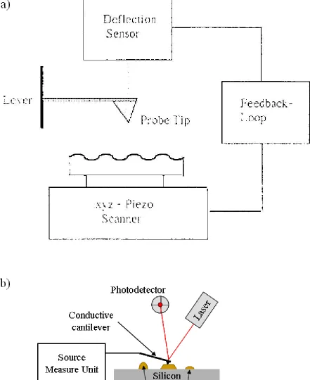 Figure 2.3: (a) Basic operational principle of the AFM [26]. (b) Basic schematic of c-AFM measurements presented in Chapter 4