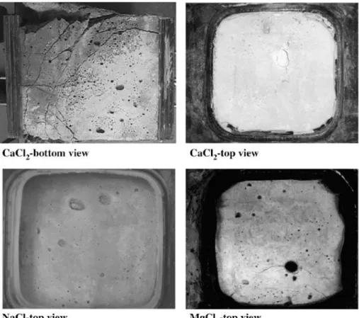 Figure 2-6: Surface of specimens, 130 weeks after exposure to different salt solutions [20] 
