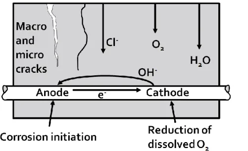 Figure 3-3: Schematic of macro-cell corrosion, modified diagram of Carolyn Hansson [6] 