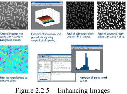 Figure 2.2.5 
