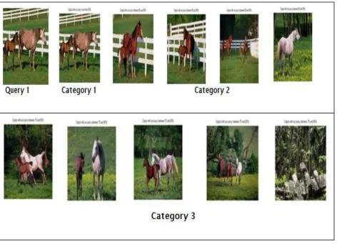 Figure 2: Query Image The results are displayed in 3 different categories; 
