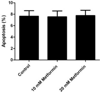 Figure 7. Effect of metformin on the volume of xeno-graft in nude mice. *P<0.05 vs. control group.