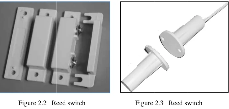 Figure 2.3   Reed sw