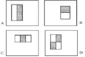 Figure 3:  Rectangle features shown relative to the enclosing detection window.   