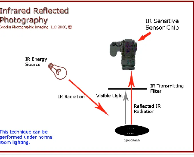 Figure 4 – Infrared Reflected Photography Set up, Courtesy Michael J. Brooks 
