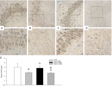 Figure 6. Effect of low-dose naltrexone on expression of brain derived neurotrophic factor (BDNF) in hippocampus brain tissue of CUMS rat