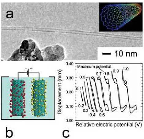 Figure 2.2  Demonstration of single-wall carbon nanotubes (CNTs) as electroactive materials