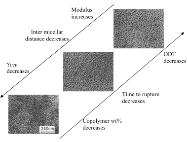 Figure 3.16 TEM micrograph of SEBS TPEG with 30, 20, 10 wt% copolymer quenched from 180 to 00C.89 