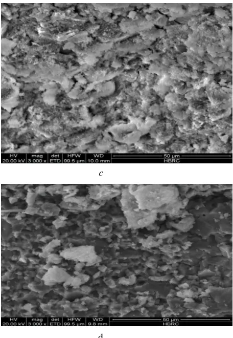 fig. (5-e). The SEM micrographs obtained for the pozzolanic concrete products obtained after 28 days of hydration were mainly calcium silicate hydrates and calcium hydroxide as 