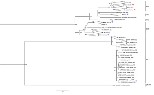 FIG 1 Phylogenetic relationships between lagoviruses studied for their glycan attachment properties