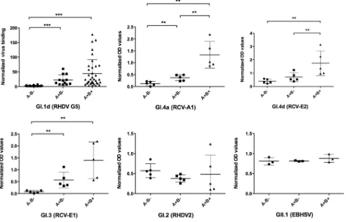 FIG 2 Histo-blood group A and B phenotype dependence of the binding of lagovirus strains to duodenum extracts of rabbits (indicated:concentrations of the extracts
