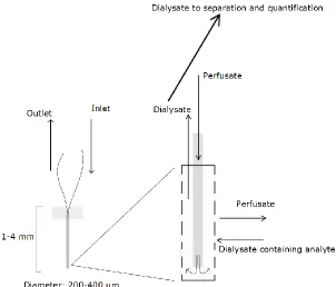 Figure 1.5  Microdialysis Probe. A microdialysis probe is generally 1-4 mm in length and 200-400 μm in diameter