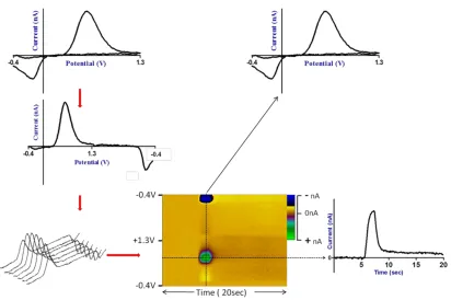 Figure 1.9 Displaying the Data.  Each voltammogram obtained is unfolded at the switching potential and concatenated