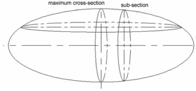 Figure 2. The ellipsoid was intercepted by equidis-tantly parallel planes parallel to the long axis.