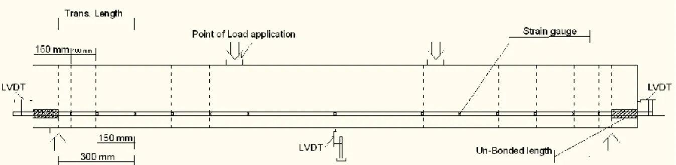 Figure 3.6: Schematic showing strain gauge and LVDT locations  3.6 Specimen Fabrication 