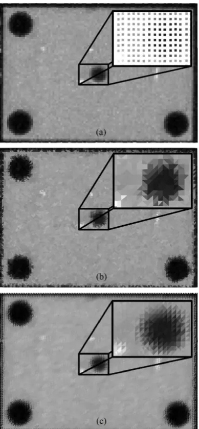 Figure 2 – C-scan plotted as point cloud (a), Delaunay triangulation (b)  and Poisson surface reconstruction (c)