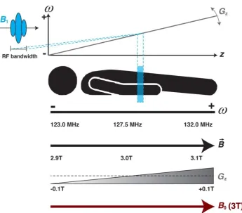Figure 2.4: Illustration of selective excitation, showing: the static Bspatially-varying magnetic gradient, frequency, 0 field (shown at 3T); the applied Gz; the combined magnetic fields, 