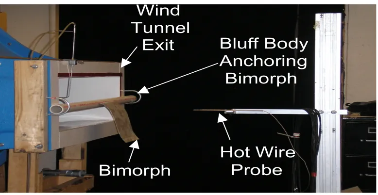 Figure 11. Use of a cylindrical bluff body to increase flapping frequency -  Robbins et