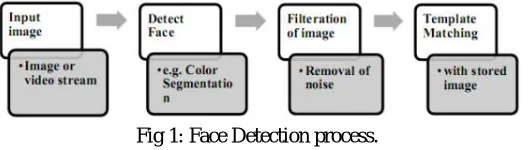 Fig 1: Face Detection process.  
