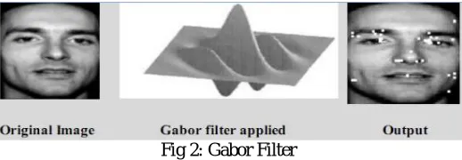 Fig 2: Gabor Filter 