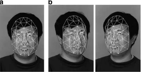 Fig.3: Face structure estimation process (a) Feature points on generic face model (b) morphed face model (c) certain  pose (d) image and features (e) distance map (f) 2D features (g) lookup tables