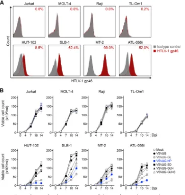 FIG 4 Reduction of HTLV-1-infected Env-expressing target cells by superinfection with rVSVs