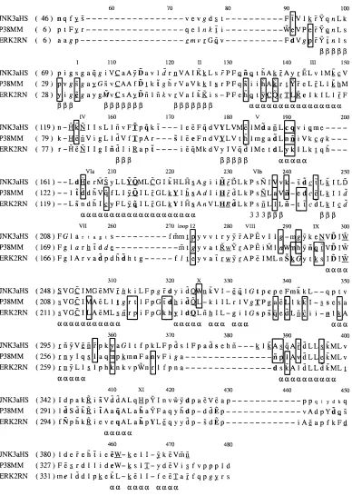 Fig. 8. JNK, ERK, and p38 are aligned as in alignments used for ancestral analysis. Uppercasealpha helix, � buried, lowercase � exposed, a � b � beta strand, 3 � 3–10 helix, bold � hydrogen bond to main chain amide, underline � hydrogen bond to main-chainc