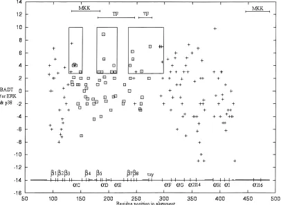 Fig. 3. Prediction of regions conferring functional differences between ERK and p38. The burst after duplicationERK and p38 are summed to give a BAD total ~BAD! scores for ~BADT!, and are plotted on the vertical axis