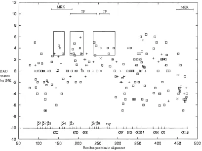 Fig. 5. Prediction of regions that have evolved functional differences in JNK since its duplication from the 1k0 ancestor