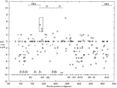 Fig. 6. Prediction of regions that have evolved functional differences in p38 since its duplication from the 1k0 ancestor