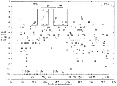 Fig. 7. Prediction of regions conferring functional differences between JNK and p38. The burst after duplication ~BAD! scores for JNKand p38 are summed to give a BAD total ~BADT! and are plotted on the vertical axis