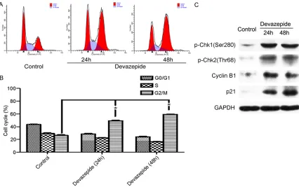 Figure 3. Devazepide induced G2/M cell cycle arrest in human WPMY-1 cells. A. WPMY-1 cells were treated with or without indicated concentration of Devazepide