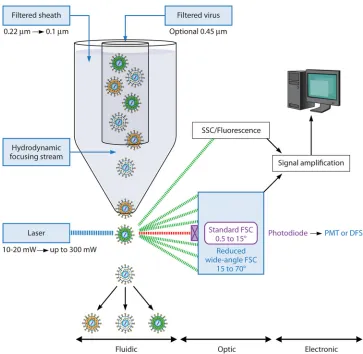 FIG 1 Technological developments of ﬂow cytometers. A schematic representation of a FACS apparatus, includingsize ﬁlter, optional ﬁltering of the viral sample with a 0.45-the ﬂuidic, optic, and electronic components, is drawn