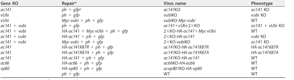 TABLE 1 Summary of viruses used in this study