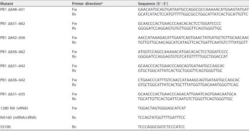 TABLE 1 Primers used for PB1 mutagenesis and primer extension