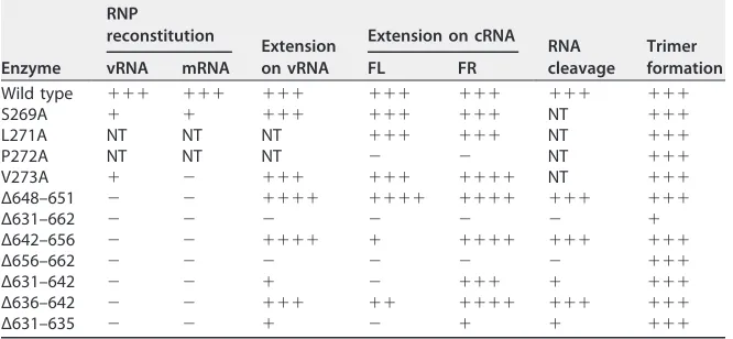 TABLE 2 Overview of PB1 mutant characteristics relative to the wild typea